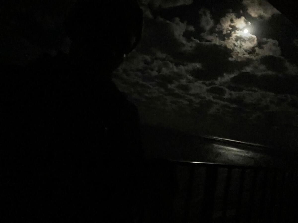 The Life * Panama City Beach